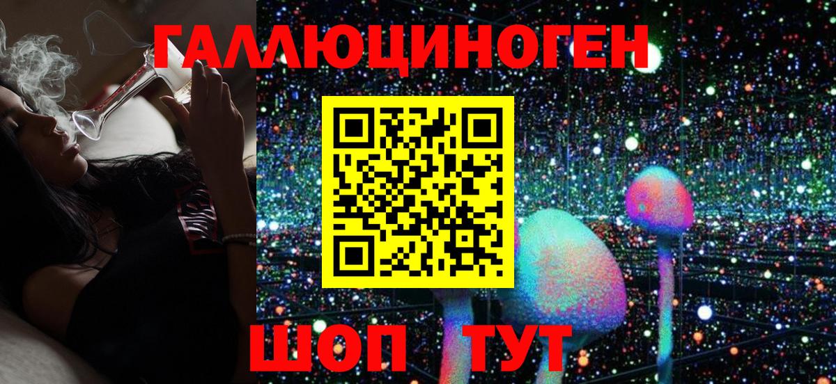 Саяногорск  Галлюциногенные грибы Psilocybine cubensis  наркошоп  Вход с VPN 